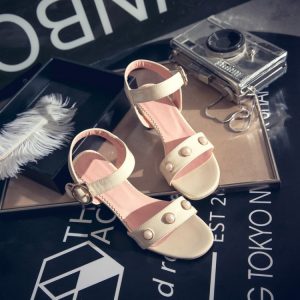 Minimalist Roman Sandals with Chunky Mid Heel and Ankle Strap